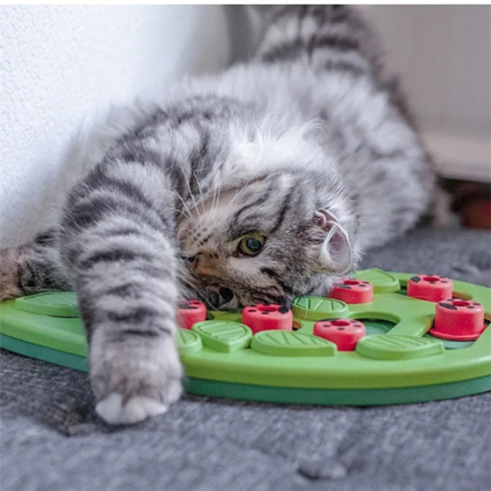 MeowHaus Interactive Cat Treat Puzzle