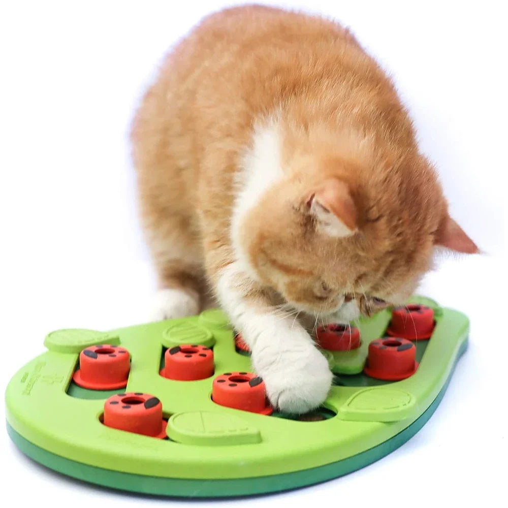 MeowHaus Interactive Cat Treat Puzzle