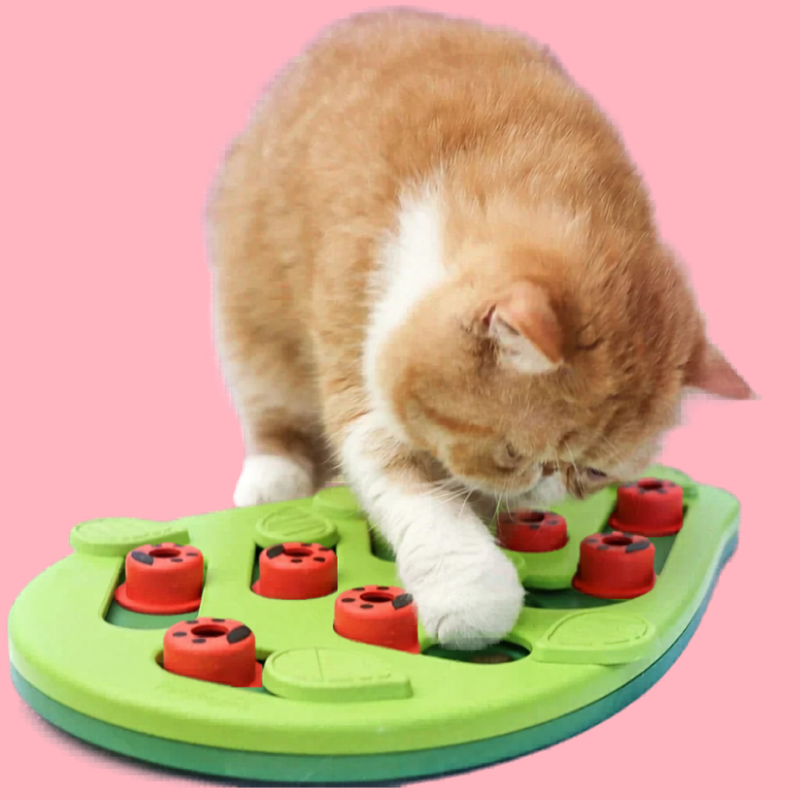 MeowHaus Interactive Cat Treat Puzzle